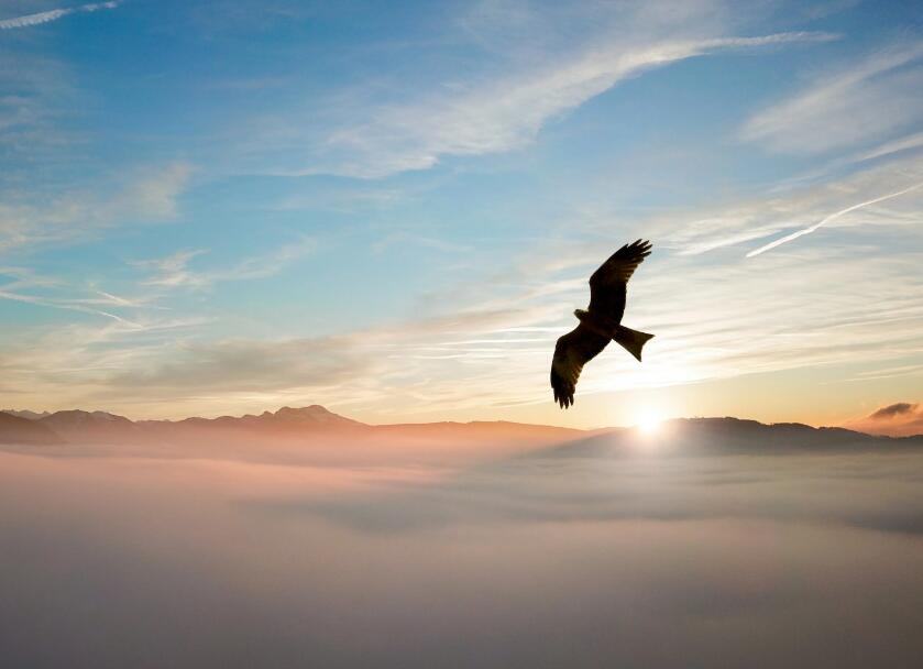 為更好服務(wù)客戶,現(xiàn)我司網(wǎng)站正式上線,歡迎新老客戶光臨!